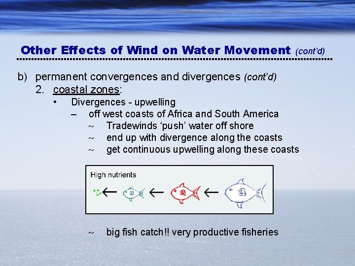 Other Effects of Wind on Water Movement (cont’d) b) permanent convergences and divergences (cont’d)