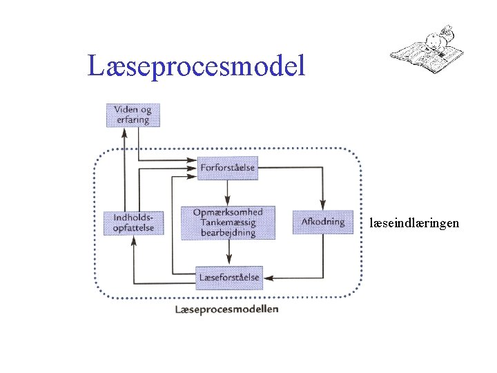 Læseprocesmodel læseindlæringen 