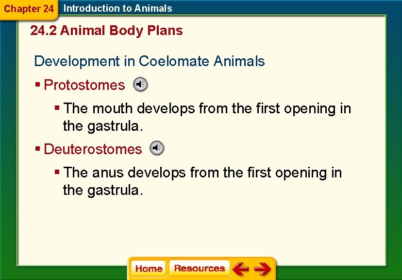 Chapter 24 Introduction to Animals 24. 2 Animal Body Plans Development in Coelomate Animals