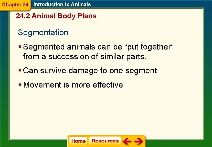 Chapter 24 Introduction to Animals 24. 2 Animal Body Plans Segmentation § Segmented animals