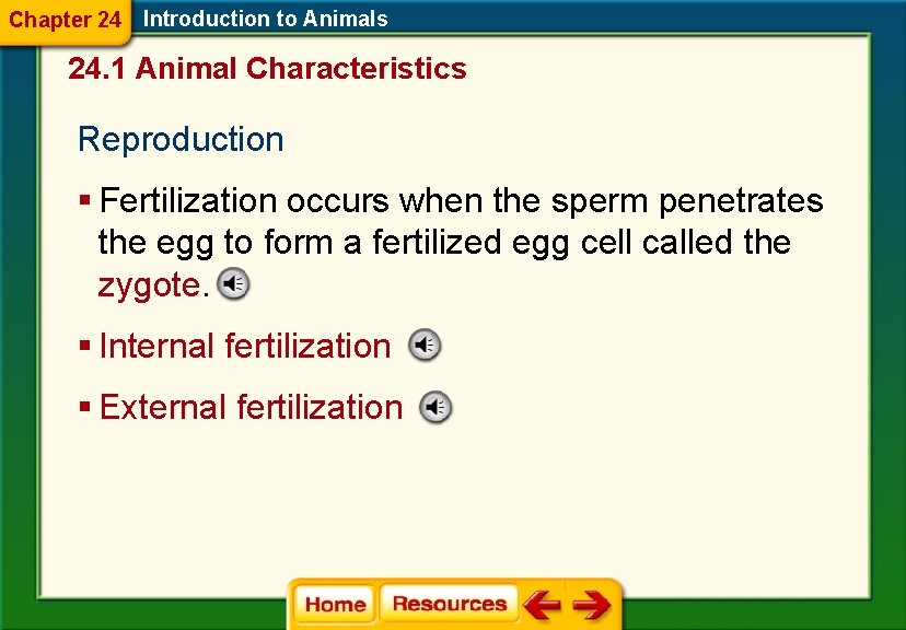 Chapter 24 Introduction to Animals 24. 1 Animal Characteristics Reproduction § Fertilization occurs when