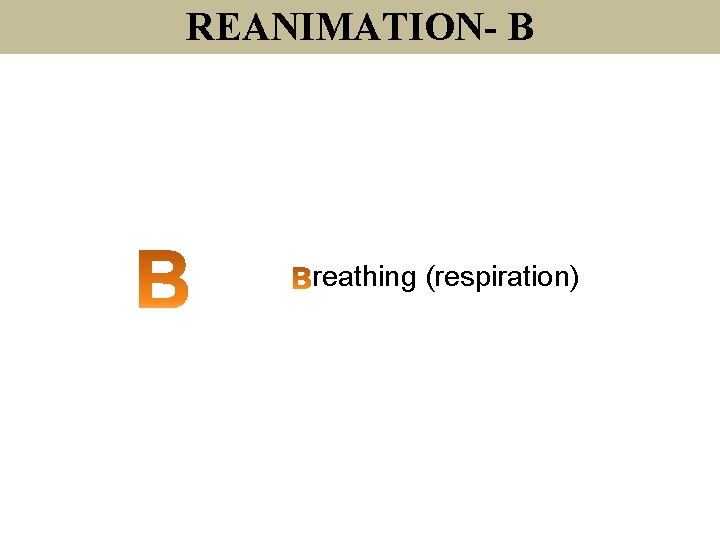 REANIMATION- B reathing (respiration) 