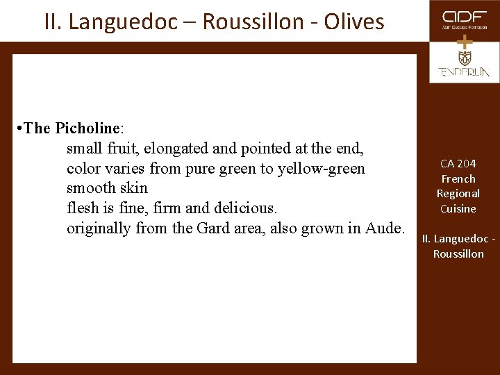 II. Languedoc – Roussillon - Olives • The Picholine: small fruit, elongated and pointed