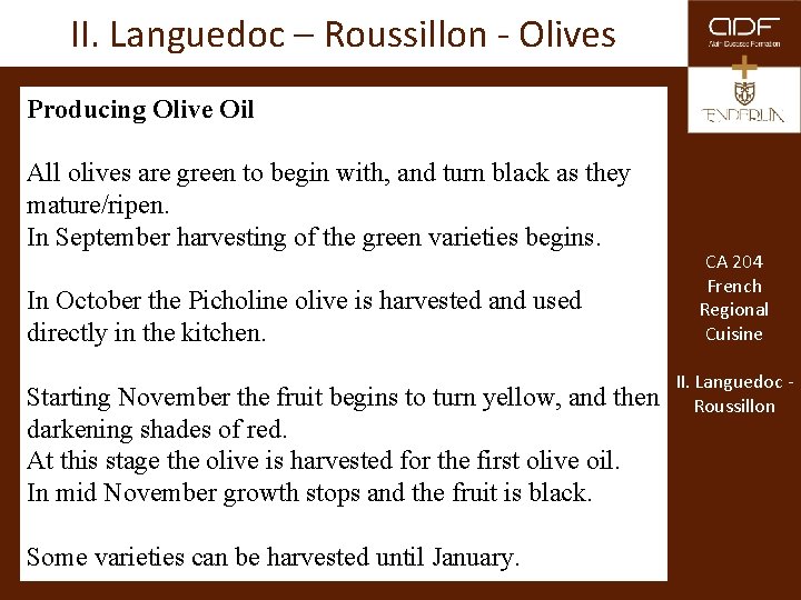 II. Languedoc – Roussillon - Olives Producing Olive Oil All olives are green to