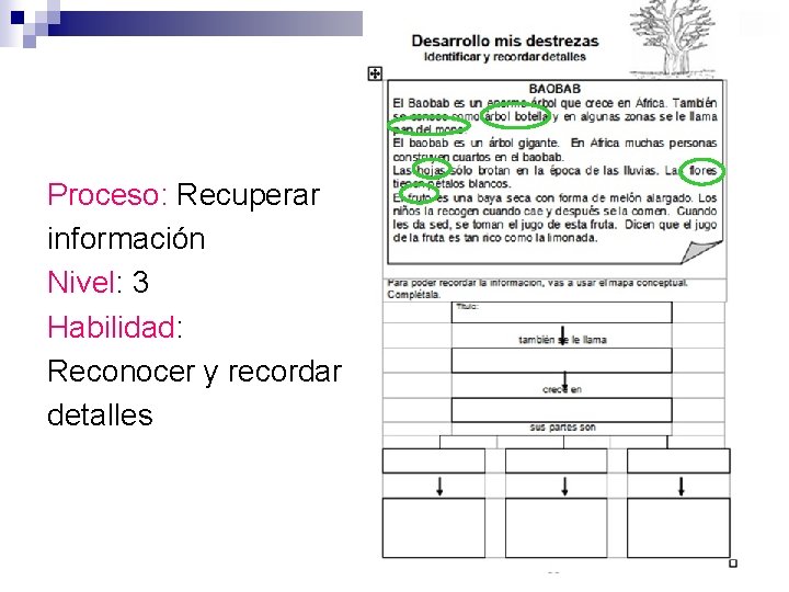 Proceso: Recuperar información Nivel: 3 Habilidad: Reconocer y recordar detalles 