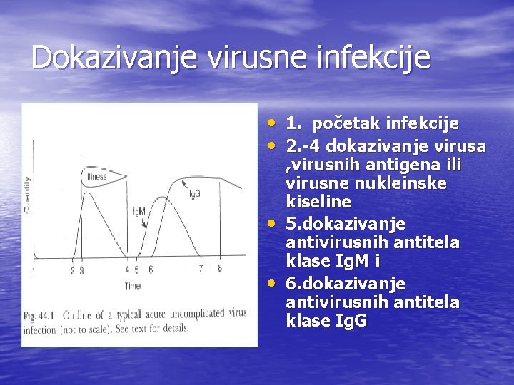 Dokazivanje virusne infekcije • 1. početak infekcije • 2. -4 dokazivanje virusa • • Dokazivanje virusne infekcije • 1. početak infekcije • 2. -4 dokazivanje virusa • •