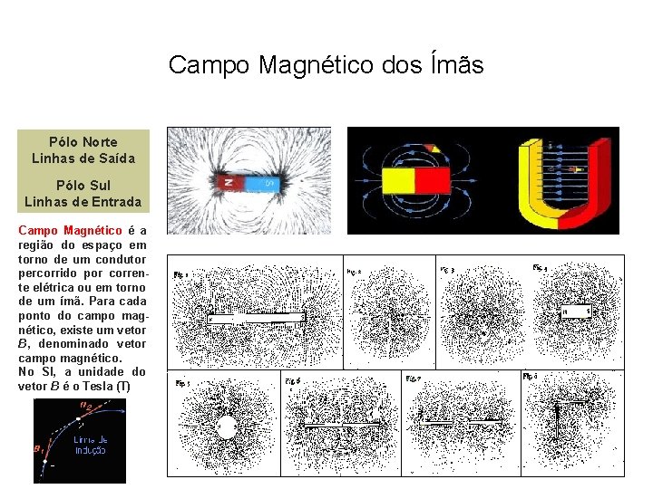 Campo Magnético dos Ímãs Pólo Norte Linhas de Saída Pólo Sul Linhas de Entrada