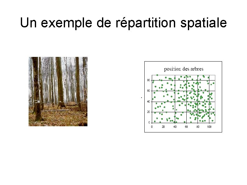 Un exemple de répartition spatiale 