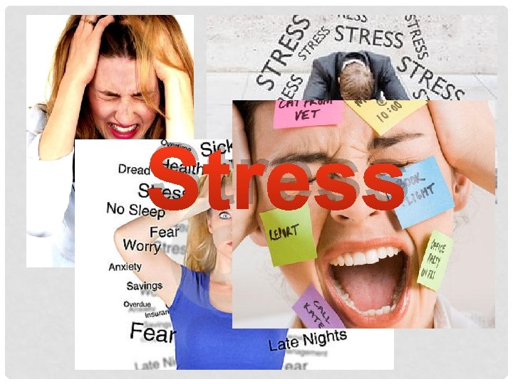 Stress 