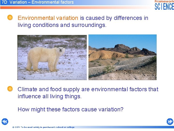 7 D Variation – Environmental factors Environmental variation is caused by differences in living