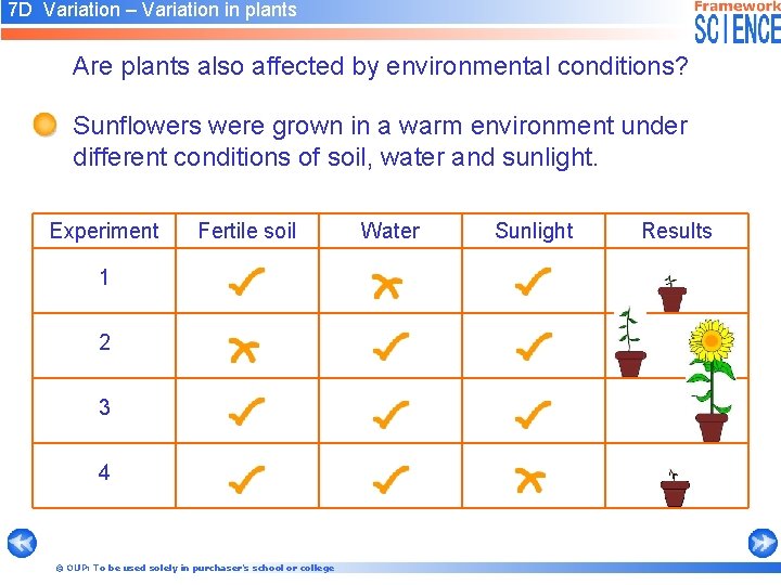 7 D Variation – Variation in plants Are plants also affected by environmental conditions?