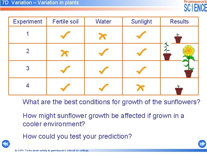 7 D Variation – Variation in plants Experiment Fertile soil Water Sunlight Results 1