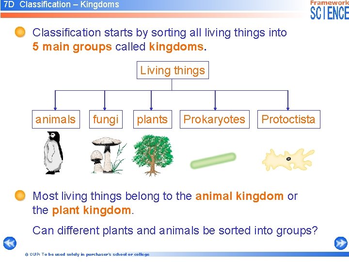 7 D Classification – Kingdoms Classification starts by sorting all living things into 5