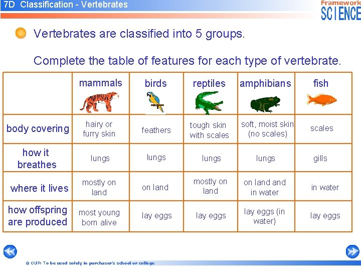 7 D Classification - Vertebrates are classified into 5 groups. Complete the table of