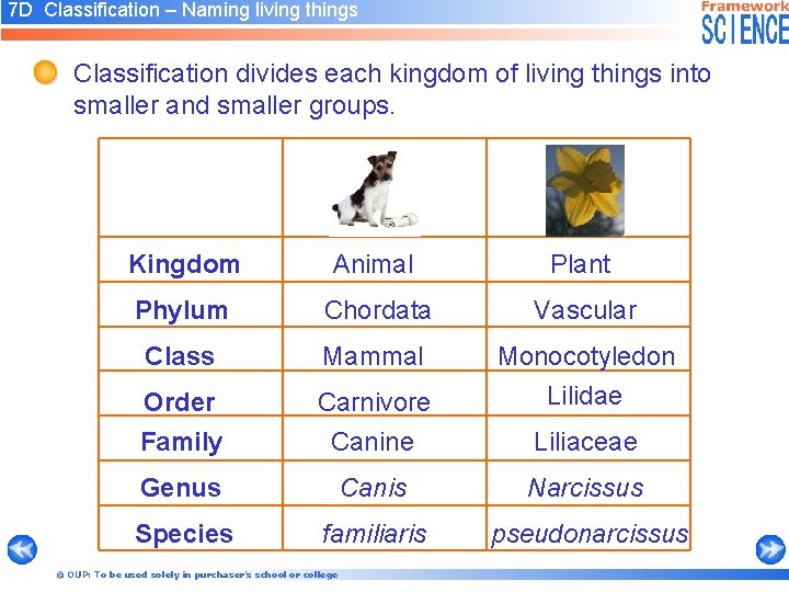 7 D Classification – Naming living things Classification divides each kingdom of living things