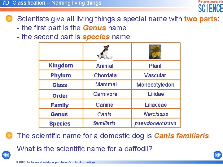 7 D Classification – Naming living things Scientists give all living things a special