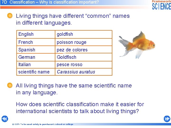 7 D Classification – Why is classification important? Living things have different “common” names
