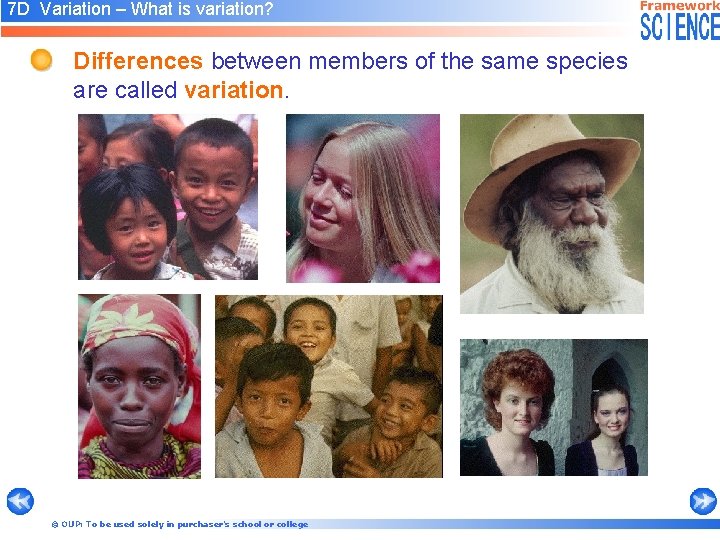 7 D Variation – What is variation? Differences between members of the same species