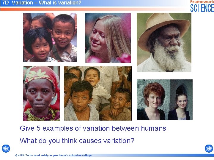 7 D Variation – What is variation? Give 5 examples of variation between humans.