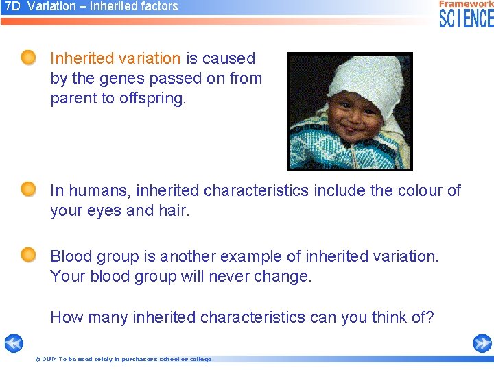 7 D Variation – Inherited factors Inherited variation is caused by the genes passed