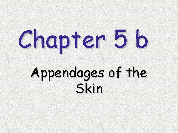 Chapter 5 b Appendages of the Skin 