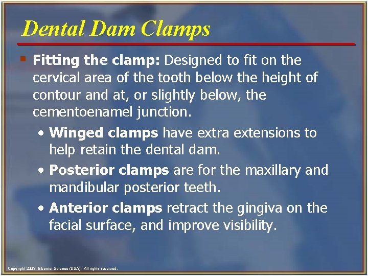Dental Dam Clamps § Fitting the clamp: Designed to fit on the cervical area