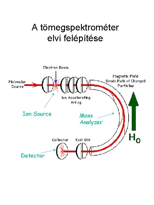 A tömegspektrométer elvi felépítése 