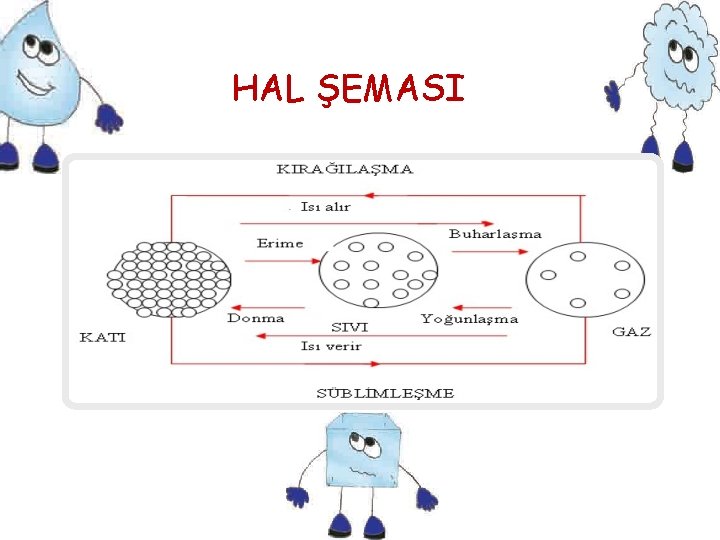 HAL ŞEMASI 