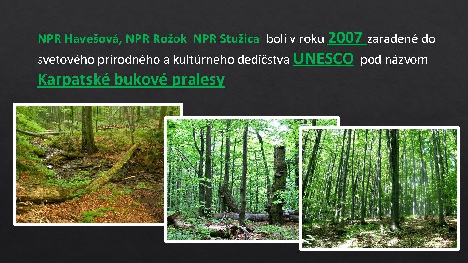 NPR Havešová, NPR Rožok NPR Stužica boli v roku 2007 zaradené do svetového prírodného