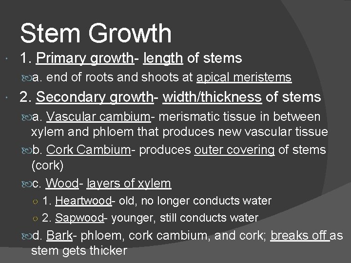 Stem Growth 1. Primary growth- length of stems a. end of roots and shoots