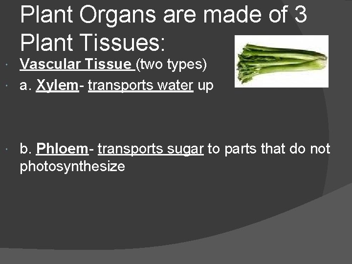 Plant Organs are made of 3 Plant Tissues: Vascular Tissue (two types) a. Xylem- Plant Organs are made of 3 Plant Tissues: Vascular Tissue (two types) a. Xylem-