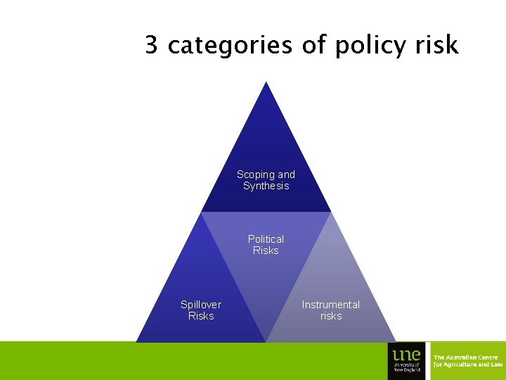 3 categories of policy risk Scoping and Synthesis Political Risks Spillover Risks Instrumental risks