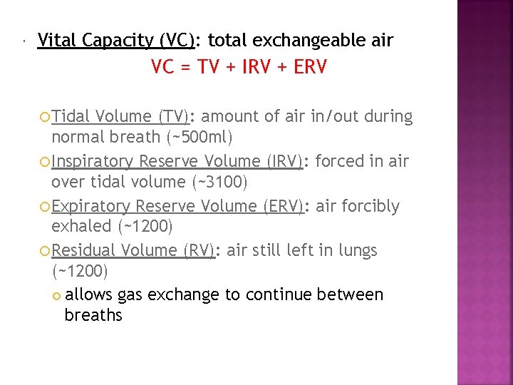  Vital Capacity (VC): total exchangeable air VC = TV + IRV + ERV