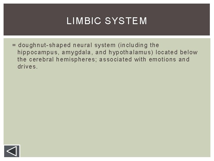 LIMBIC SYSTEM = doughnut-shaped neural system (including the hippocampus, amygdala, and hypothalamus) located below LIMBIC SYSTEM = doughnut-shaped neural system (including the hippocampus, amygdala, and hypothalamus) located below