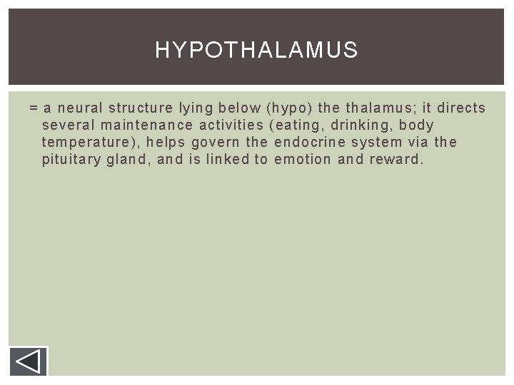 HYPOTHALAMUS = a neural structure lying below (hypo) the thalamus; it directs several maintenance HYPOTHALAMUS = a neural structure lying below (hypo) the thalamus; it directs several maintenance