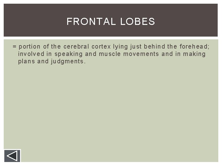 FRONTAL LOBES = portion of the cerebral cortex lying just behind the forehead; involved FRONTAL LOBES = portion of the cerebral cortex lying just behind the forehead; involved