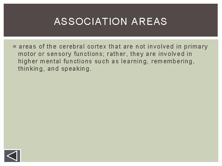 ASSOCIATION AREAS = areas of the cerebral cortex that are not involved in primary ASSOCIATION AREAS = areas of the cerebral cortex that are not involved in primary