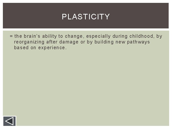 PLASTICITY = the brain’s ability to change, especially during childhood, by reorganizing after damage PLASTICITY = the brain’s ability to change, especially during childhood, by reorganizing after damage