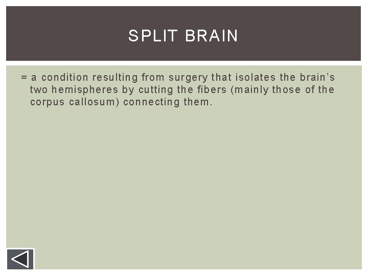 SPLIT BRAIN = a condition resulting from surgery that isolates the brain’s two hemispheres SPLIT BRAIN = a condition resulting from surgery that isolates the brain’s two hemispheres