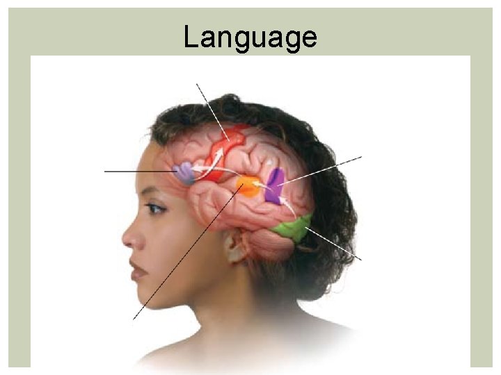 Language Language