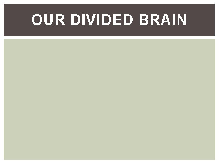 OUR DIVIDED BRAIN OUR DIVIDED BRAIN