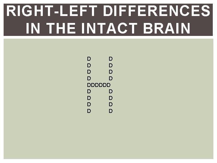 RIGHT-LEFT DIFFERENCES IN THE INTACT BRAIN D D D D DDDDDD D D D RIGHT-LEFT DIFFERENCES IN THE INTACT BRAIN D D D D DDDDDD D D D