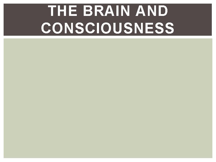 THE BRAIN AND CONSCIOUSNESS THE BRAIN AND CONSCIOUSNESS