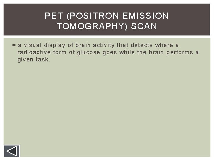 PET (POSITRON EMISSION TOMOGRAPHY) SCAN = a visual display of brain activity that detects PET (POSITRON EMISSION TOMOGRAPHY) SCAN = a visual display of brain activity that detects