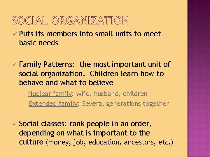 ü Puts its members into small units to meet basic needs ü Family Patterns: