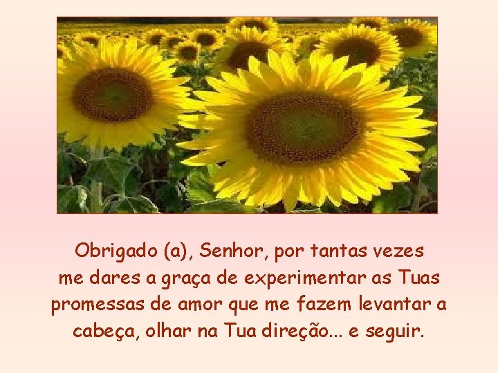 Obrigado (a), Senhor, por tantas vezes me dares a graça de experimentar as Tuas