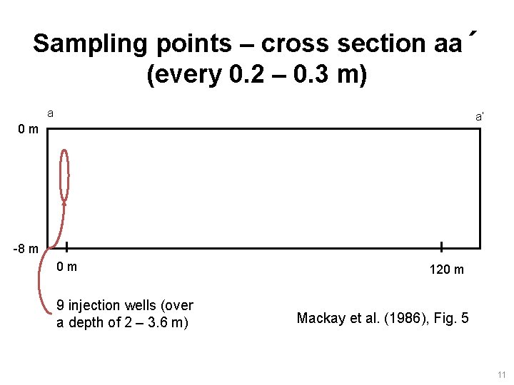 Sampling points – cross section aa´ (every 0. 2 – 0. 3 m) a
