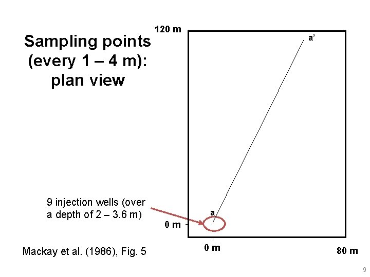 Sampling points (every 1 – 4 m): plan view 9 injection wells (over a