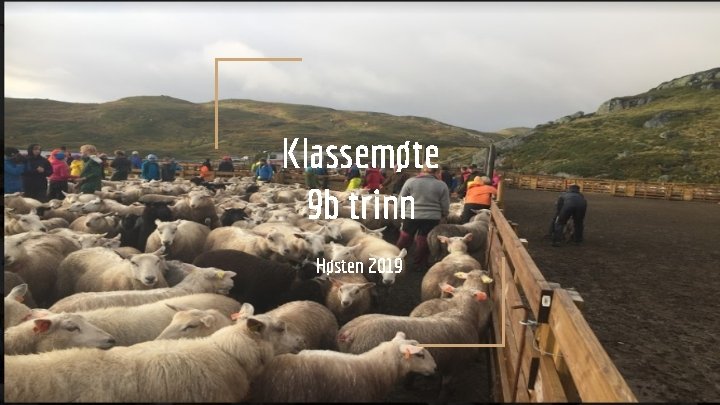 Klassemøte 9 b trinn Høsten 2019 