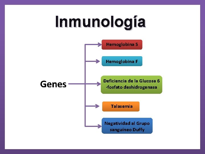 Inmunología Hemoglobina S Hemoglobina F Genes Deficiencia de la Glucosa 6 -fosfato deshidrogenasa Talasemia